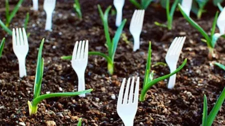 A înfipt furculiţe de plastic în gradină! Motivul este genial! Uite de ce!