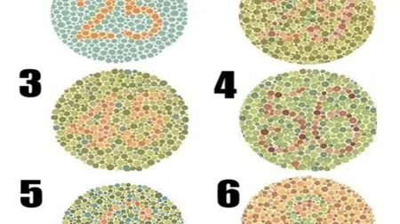 Testul zilei - Ce NUMERE vezi? Rezolvarea testului