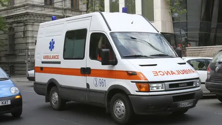 La un pas de moarte după ce a fost atacat de un roi de albine