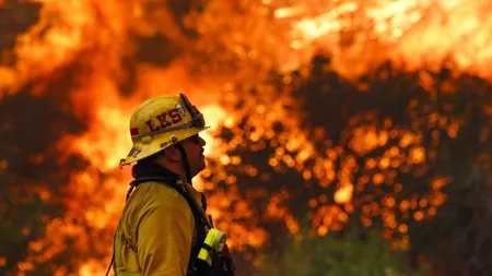 America, TOPITĂ de incendii de vegetaţie şi caniculă excesivă GALERIE FOTO şi VIDEO