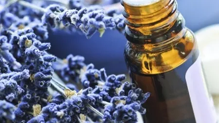 Cum să tratezi o înţepătură de insectă