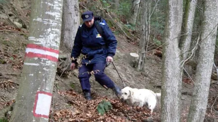 Patru persoane s-au rătăcit în Munţii Buzăului