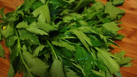 INALTAREA DOMNULUI: Ce trebuie să facă toţi creştinii pentru a fi feriţi de boli
