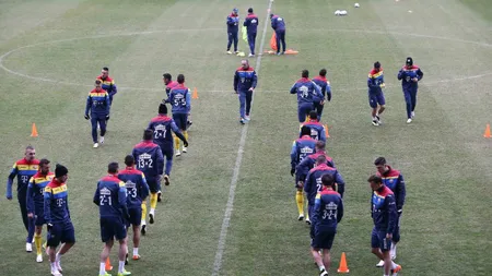 Ce numere vor purta tricolorii la EURO 2016. Cui i-a dat Iordănescu tricoul cu numărul 10