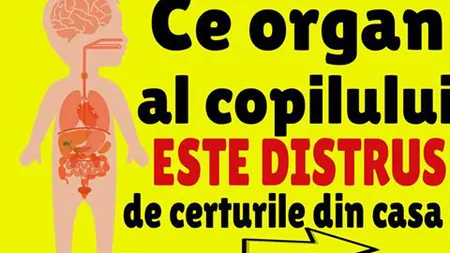 Ce organ al copilului tău se îmbolnăveşte de la certurile din casă