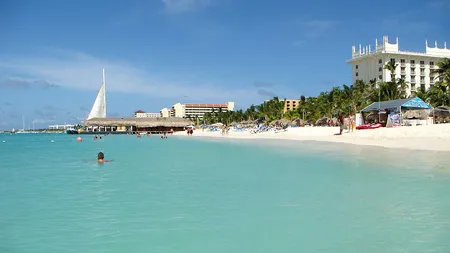 Angajări în Florida, SUA, şi în Germania. Vezi oferta de muncă şi salariile
