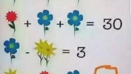 TEST de MATEMATICĂ. Profesorii spun că e imposibil de rezolvat FOTO
