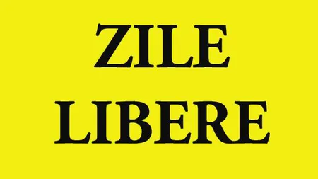 Proiect: Zilele libere legale care cad în weekend să se acorde la începutul săptămânii viitoare