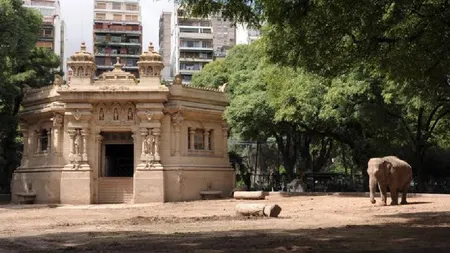 Grădina Zoologică din Buenos Aires se închide, după 140 de ani: 