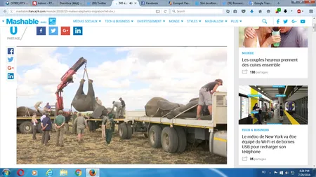 500 de elefanţi africani au fost relocaţi în Malawi. Imagini extraordinare de la imensa operaţiune VIDEO