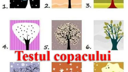 Testează-ţi personalitatea amuzându-te! Testul copacului