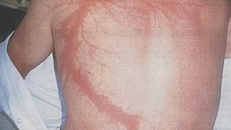 Curiozităţi de prin lume adunate. Tu le cunoşti?
