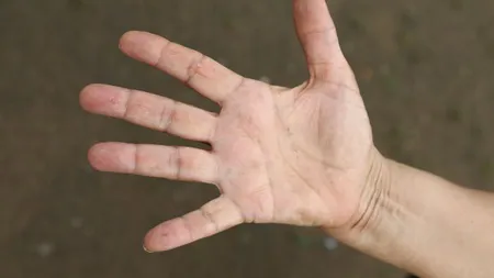 Ai litera M în palmă? Vezi ce dezvăluie