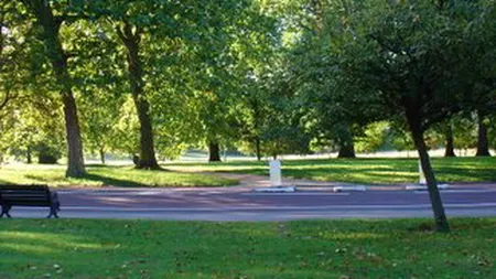 Au tăiat băncile din parc ca să facă grătar. Totul se întâmplă pe malul râului Mureş