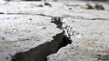 Seism de 5,0 pe Richter în Japonia