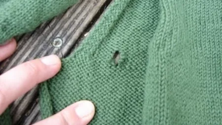 Şi TU ai această problemă. Cele mai bune trucuri pentru a scăpa de molii