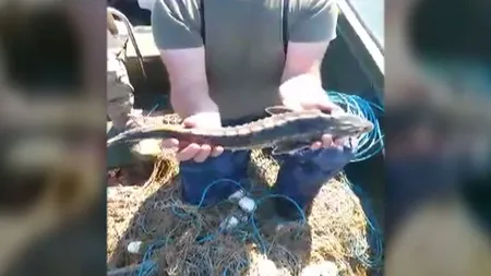 Captură impresionantă în Tulcea. Oamenii legii au confiscat mai multe scule de braconaj şi au eliberat peşti protejaţi VIDEO