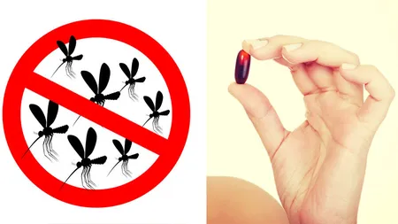 Asta e vitamina care te scapă de ţânţari întreaga vară! Se ia zilnic