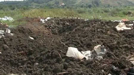 Descoperire macabră la marginea oraşului Drobeta Turnu Severin. Au fost găsite mai multe oseminte umane