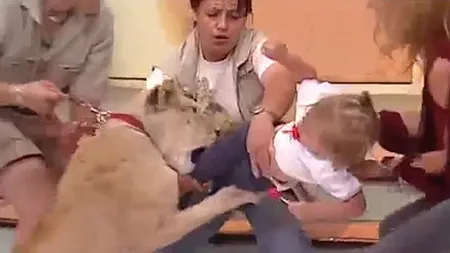 Incident şocant în direct, la tv. O leoaică vrea să mănânce un copil aflat în braţele mamei sale VIDEO