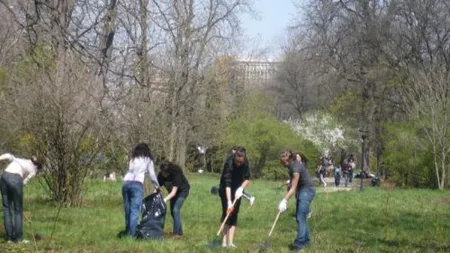Gata cu pomenile. Ajutoarele sociale se vor da numai contra muncă în folosul comunităţii, în Sectorul 5