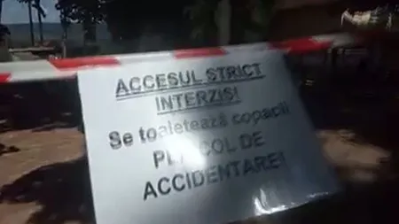 Concluzii halucinante în cazul profesoarei care a murit într-un parc din Aiud. De vină pentru tragedie a fost vremea nefavorabilă