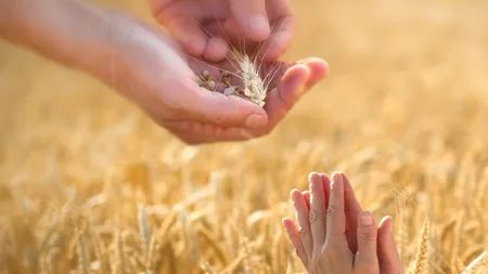 ÎNGRIJORĂTOR! Din 8 august, Pământul va trăi pe DATORIE. Toate resursele pe acest an au fost deja consumate