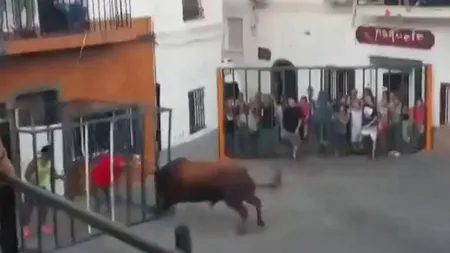 ŞOCANT. Un om aflat într-o cuşcă asmute un taur. Ce se întâmplă când animalul intră înăuntru VIDEO