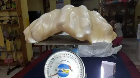 Cea mai mare perlă din lume are 34 kg şi valorează 100 de milioane de dolari