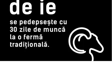 VERDICT.RO incepe o campanie funny de outdoor și social media