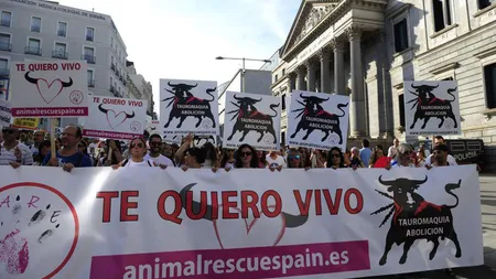 Manifestaţie importantă la Madrid, pentru interzicerea coridelor: 