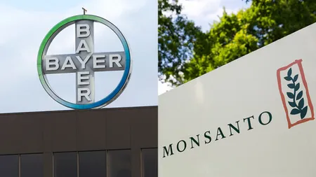 Bayer şi Monsanto au fuzionat. Fermierii cer să li se ofere alternative