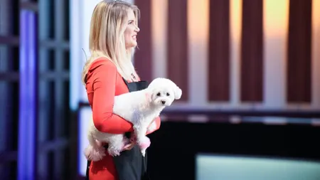 CHEFI LA CUTITE 2016: Blondă, rochie roşie, cine să se mai uite în farfurie?! O concurentă vine cu căţelul în platou