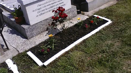 Punea flori la mormântul băiatului ei, când deodată a auzit 
