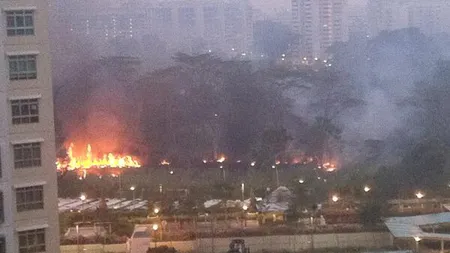 Asia: Incendiile de vegetaţie au provocat peste 100.000 de MORŢI PREMATURE