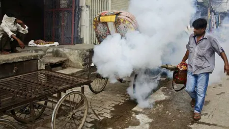 Virusul Chikungunya face ravagii în capitala Indiei. 13 oameni au murit, peste 1.100 sunt bolnavi