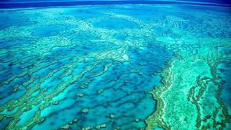 A fost descoperit un recif imens sub Marea Barieră de Corali