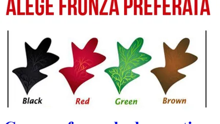 Ce spun frunzele despre tine. Alege şi descoperă!