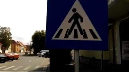 IMAGINEA ZILEI. Trecere de pietoni împădurită în centrul unui mare oraş din România
