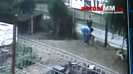 Scene uluitoare în Baia Mare. O femeie a vrut să fure un câine din adăpostul de animale VIDEO