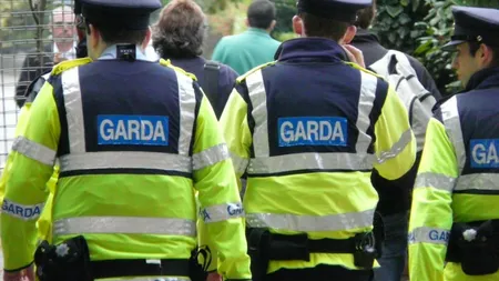 SALARII URIAŞE la Garda Forestieră. Un inspector şef câştigă peste 10.000 de lei pe lună