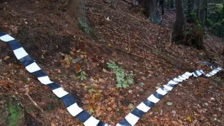 Un bărbat din Constanţa a murit, după ce a încercat să taie un copac cu drujba