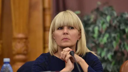 PRIMA REACŢIE a Elenei Udrea după ce deputaţii jurişti au dat aviz pozitiv începerii urmăririi sale penale