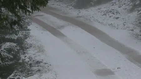 Iarna îşi intră în drepturi: Stratul de zăpadă masoară 10 centimetri în judeţul Suceava VIDEO
