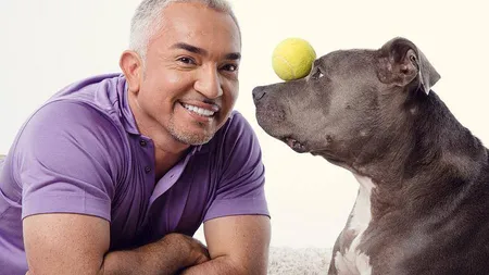 Cesar Millan vine la Bucureşti. Celebrul dresor de câini face spectacol la Sala Polivalentă