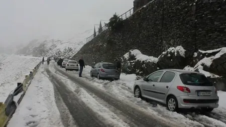 Turist căzut într-o prăpastie de pe Transfăgărăşan. Operaţiune dramatică de salvare, tânărul a rămas agăţat în copaci