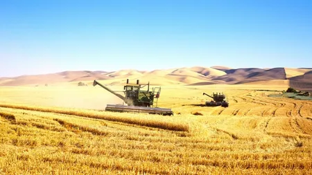 CNP: Agricultura şi construcţiile pierd din contribuţia adusă la creşterea economică a României în 2016