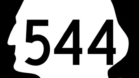 LEGENDĂ URBANĂ sau REALITATE: Ce se întâmplă dacă apelezi la 544?