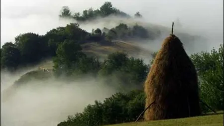 NEREGULI multiple în Parcul Natural Munţii Apuseni: 37 de sesizări penale făcute de Garda de Mediu