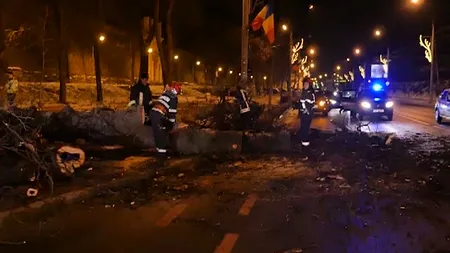 Circulaţie blocată în Sibiu, după ce un copac a căzut pe şosea VIDEO